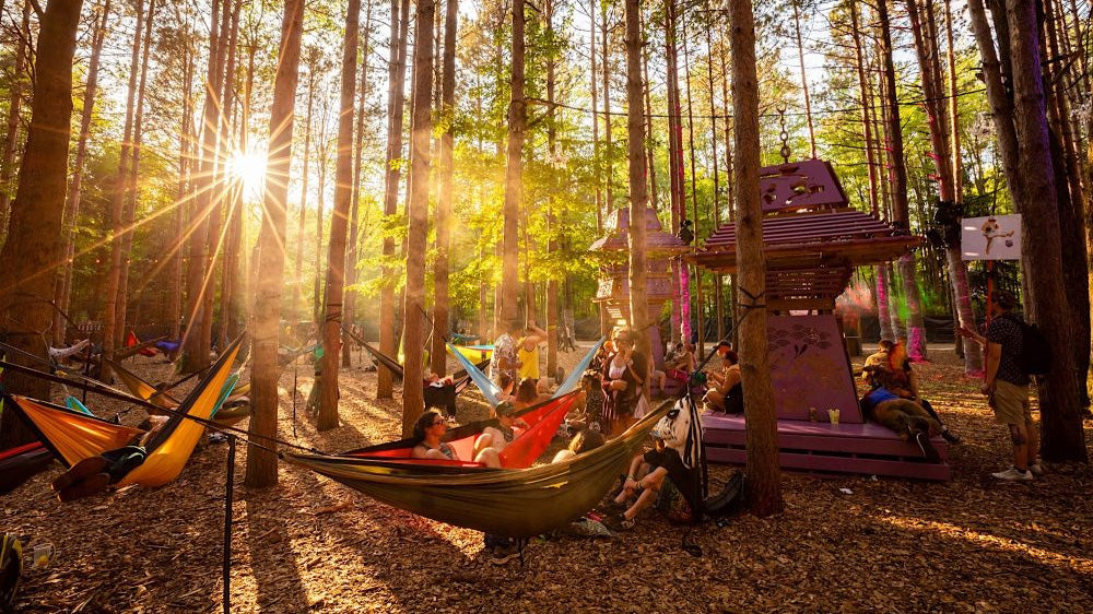essentials for camping music festivals
